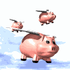 * if pigs could fly... * 